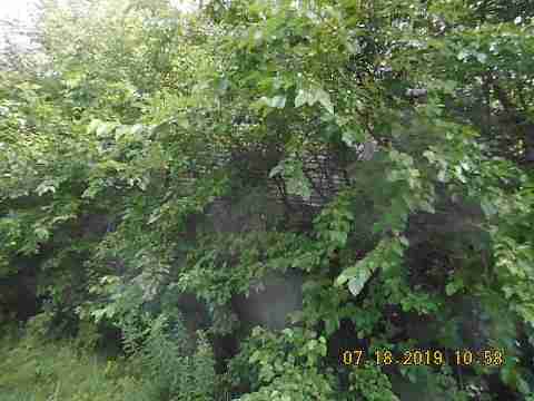 3394 Benson (10)_m.jpg